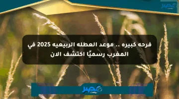 فرحة كبيرة .. موعد العطلة الربيعية 2025 في المغرب رسميًا اكتشف الآن